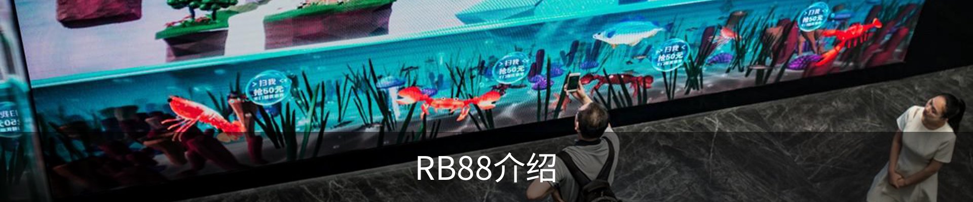 RB88介绍
